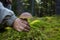 Mashroom picker with Boletus machroom. Old man hand cutting white mashroom in forest.