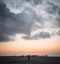 Masirah Island, Oman, December 31, 2019: beautiful image.of a loving couple hugging on the beach with boats stranded in the