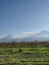 Masis mountain Ararat