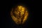 Mask of Agamemnon