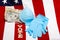 Mask with cash money, gloves and the words vote in front of the american flag, horizontal