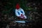 Mask of scary clown on ground in the wood