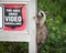 Masked Bandit Raccoon Climbing Video Surveillance Security Sign