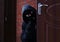 Masked man with gun spying behind open door. Criminal offence