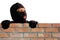 Masked thief is climbing the wall to steal property in the house, Detecting CCTV camera surveillance of home security systems