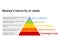 Maslow\'s pyramid of needs