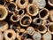 Mason bees at an insect hotel