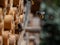 Mason bees at an insect hotel in spring