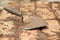 Mason bricklaying background