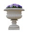 Masonry pot with viola pansy flowers isolated