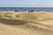 Maspalomas Dunas Beach, Gran Canaria