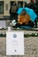 The mass followers of meditation group Mariananda at Pariser Platz