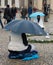 The mass followers of meditation group Mariananda at Pariser Platz