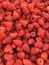 Mass of raspberries close up