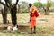 Massai farmer checking on his goats