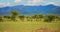 Massai Village in Ngorongoro crater in Tanzania