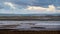 Masses of gull roosting, Skern area of Northam Burrows, near Appledore, North Devon.