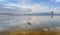 Masses of White Pelican birds and flamingos on the lake Nakuru,