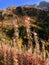 Massif de Belledonne at fall, French Alps