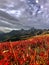 Massif de Belledonne at fall, French Alps