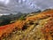 Massif de Belledonne at fall, French Alps