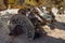 Massive axle of abandoned harvester rusting away deep in the Namib Desert of Angola