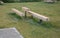 Massive bench in the park under a tree in the park urban style beam shape on metal legs in the square. grass grate made of metal a