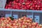 Massive boxes full of freshly harvested cherries being sold at a local market