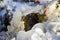 Massive build-up of ice near a water spring