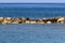 Massive concrete blocks and large stones are laid in a breakwater on the shores of the Mediterranean Sea