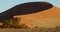 Massive dune with people walking on it and looking at the sunrise, Namib desert