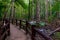 massive fence on a hiking trail in the beautiful forest of Thailand. Krabi