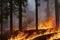 Massive forest fire in dry season