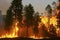 Massive forest fire in dry season