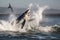 Massive Great White shark bursting out of the ocean waves