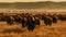 A massive herd of wild bison roaming across a yellow dry grassy landscape created with Generative AI