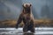 A massive and imposing Grizzly Bear standing on its hind legs, showing off its massive and imposing nature. Generative AI