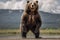 A massive and imposing Grizzly Bear standing on its hind legs, showing off its massive and imposing nature. Generative AI