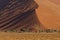 The massive sand dunes in the Namibian desert.