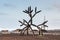 A massive steel sculpture of cactus on a black lava beach in Los Cristianos, Tenerife, Canary Islands, Spain