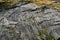 Massive structured steep stone wall with green gras and moss in the mountains on the Lofoten Islands in Norway.