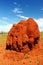 Massive Termite Mound in Australian Outback, Western Australia