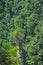 Massive vertical pillar in Zhangjiajie