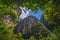 Massive vertical rock walls in Wulong National Park