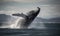 Massive whale soaring through the air in dramatic display Creating using generative AI tools