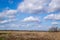 Massive white cumulus clouds in the blue sky