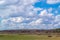 Massive white cumulus clouds in the blue sky over the forest