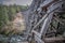 Massive Wooden Kinsol Trestle of Shawnigan Lake