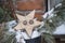 Massive Wooden Rustic Christmas Star