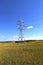 Mast electrical power line in a wheat field